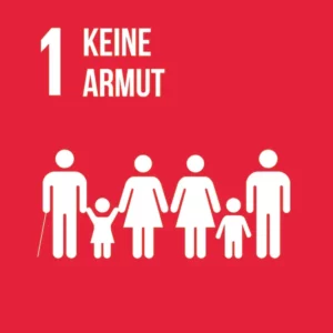 Icon SDG 11