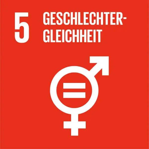 Icon SDG 5