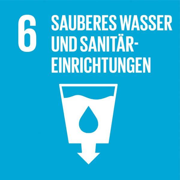 SDG Icon 6