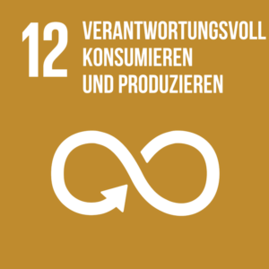 SDG Icon 12