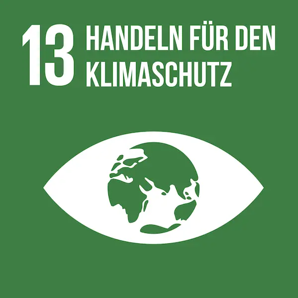Icon SDG 13