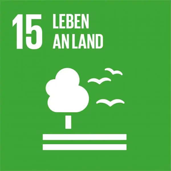 Icon SDG 15