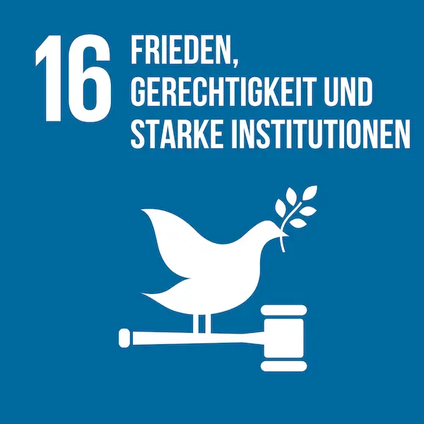 Icon SDG 16